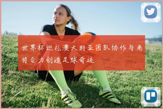 世界杯巡礼澳大利亚团队协作与老将合力创造足球奇迹