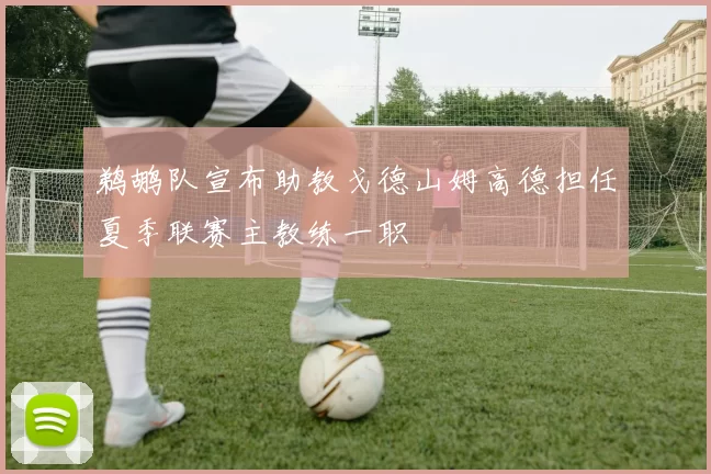鹈鹕队宣布助教戈德山姆高德担任夏季联赛主教练一职