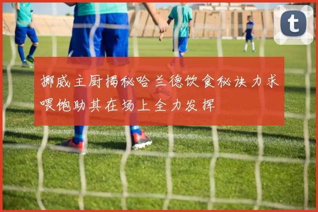 挪威主厨揭秘哈兰德饮食秘诀力求喂饱助其在场上全力发挥