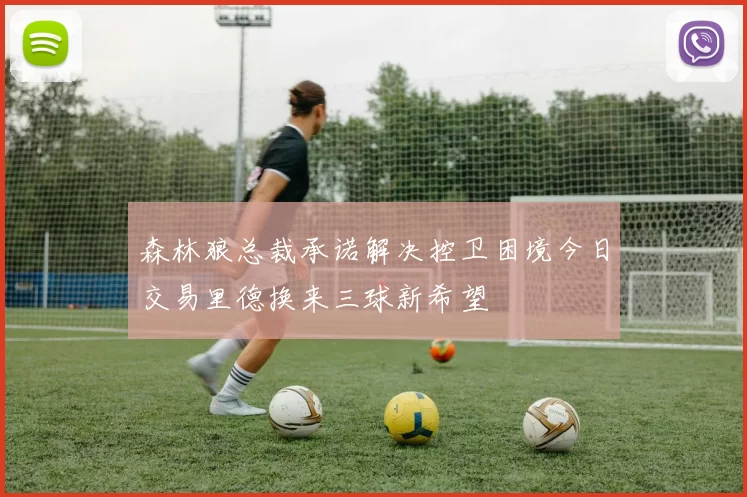 森林狼总裁承诺解决控卫困境今日交易里德换来三球新希望
