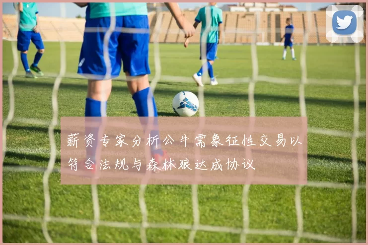 薪资专家分析公牛需象征性交易以符合法规与森林狼达成协议